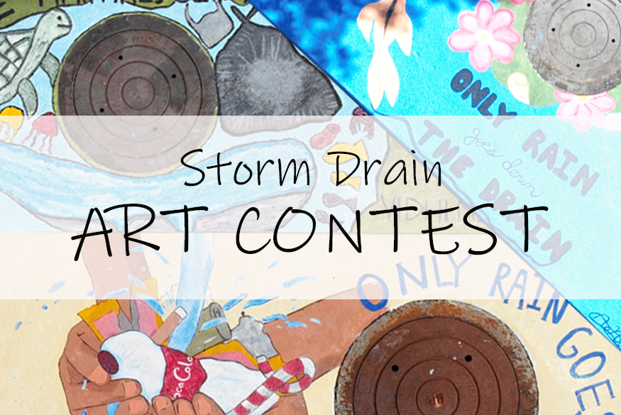 2023 Storm Drain Art Contest.png